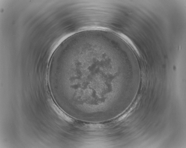 X0000060791244200511171300