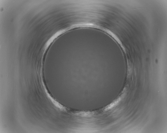 X0000060791245200511171300