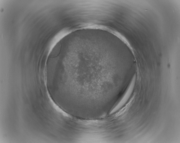 X0000060791247200511171300