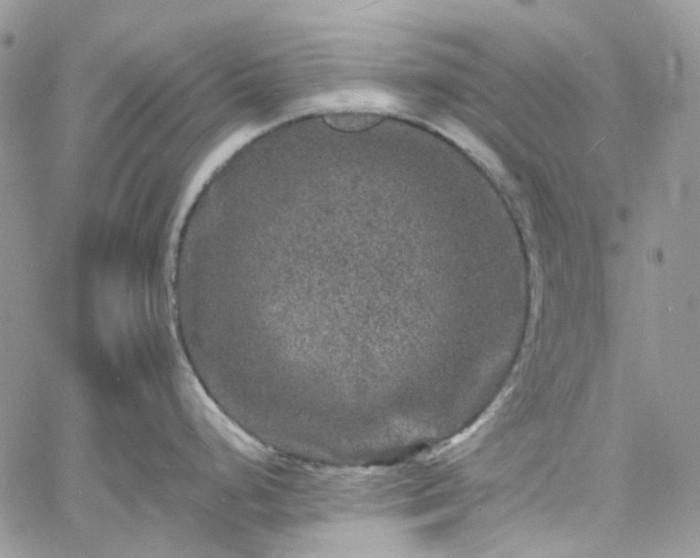 X0000060791248200511171300