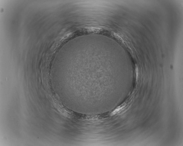 X0000060791249200511171259