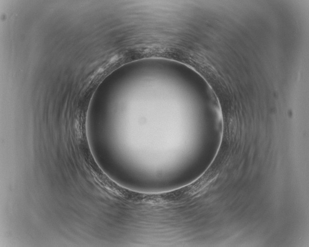 X0000060791250200511171259