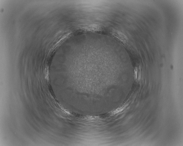 X0000060791251200511171259