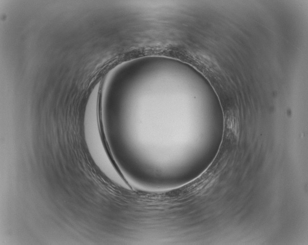 X0000060791252200511171259