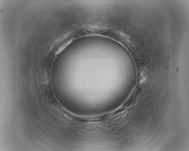 X0000060791253200511171259