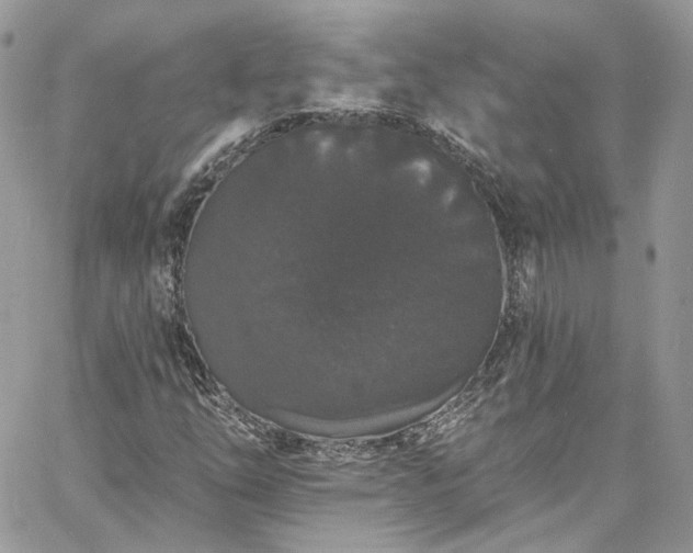 X0000060791254200511171259