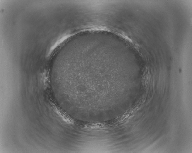 X0000060791255200511171259