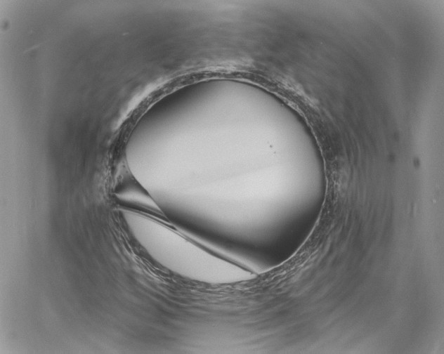 X0000060791256200511171259