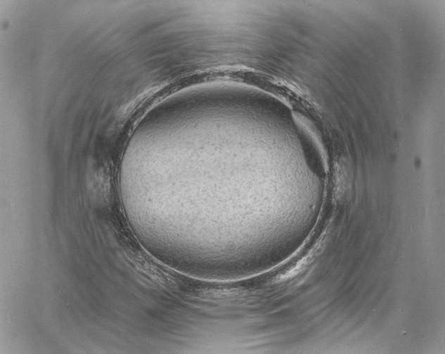 X0000060791257200511171259