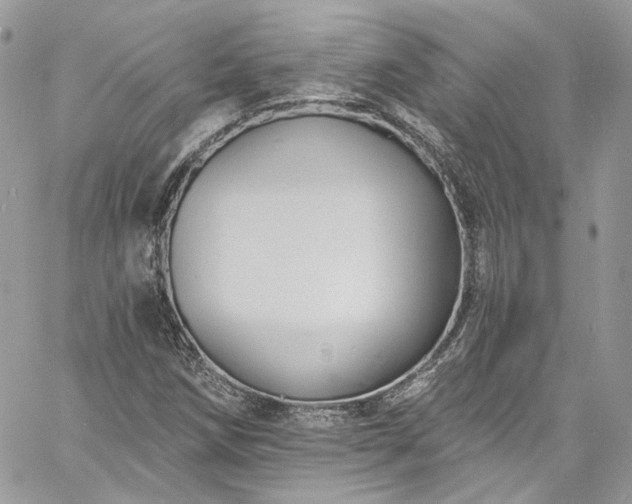 X0000060791258200511171259