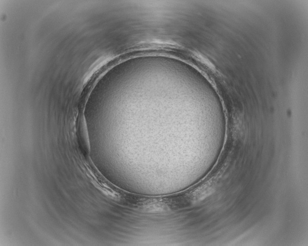 X0000060791259200511171259