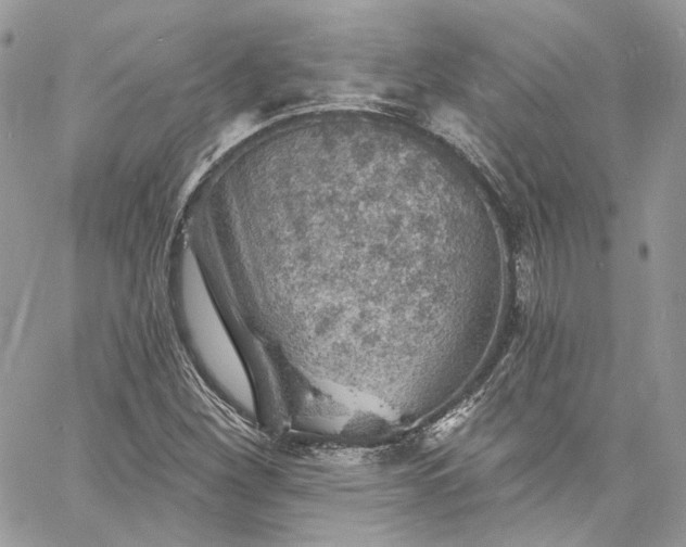 X0000060791260200511171259