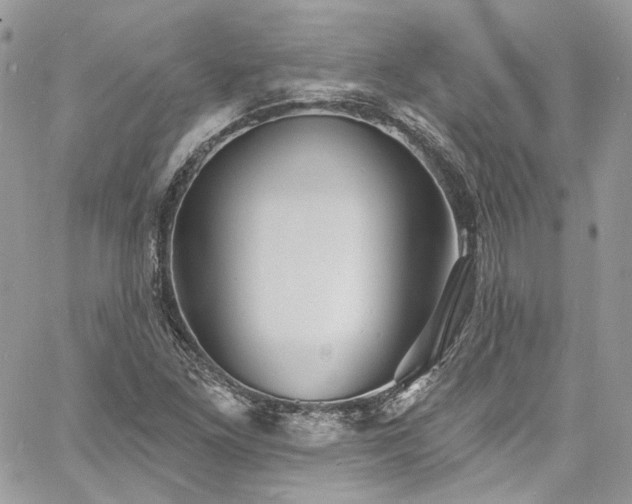 X0000060791261200511171259