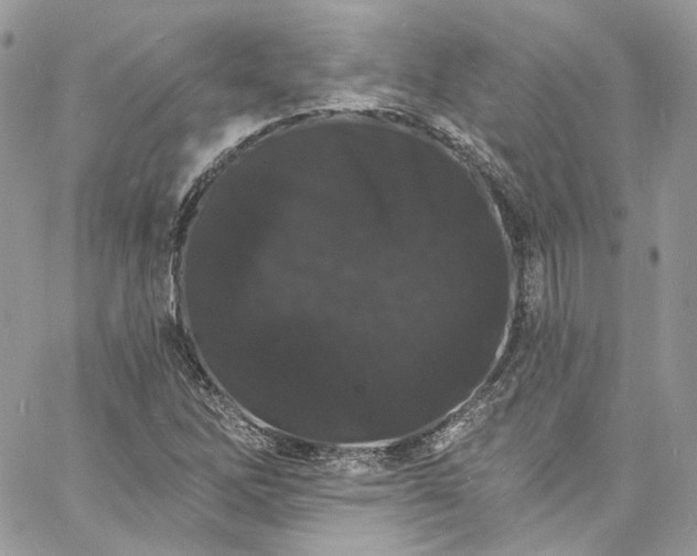 X0000060791262200511171259