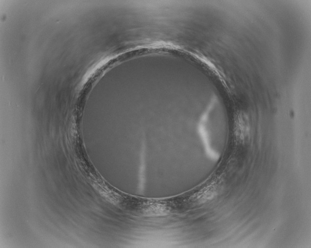 X0000060791263200511171259