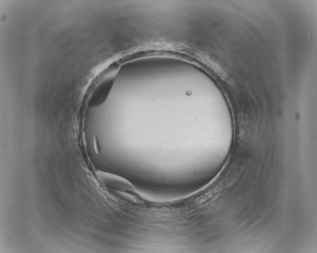 X0000060791264200511171259