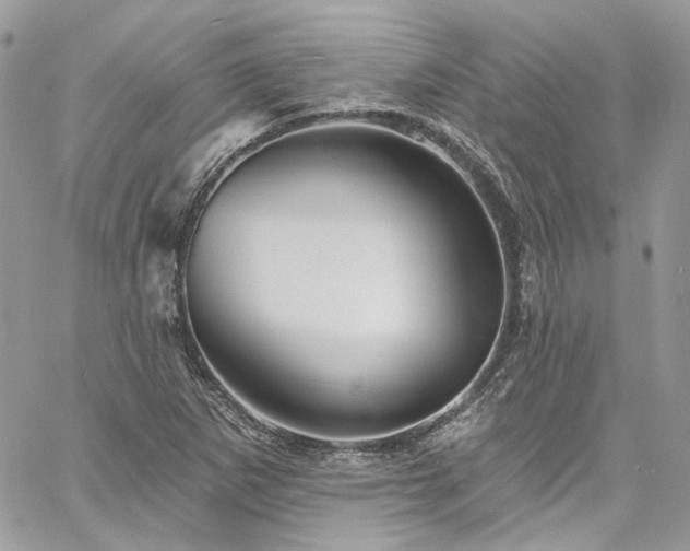 X0000060791265200511171259