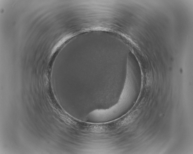 X0000060791266200511171259