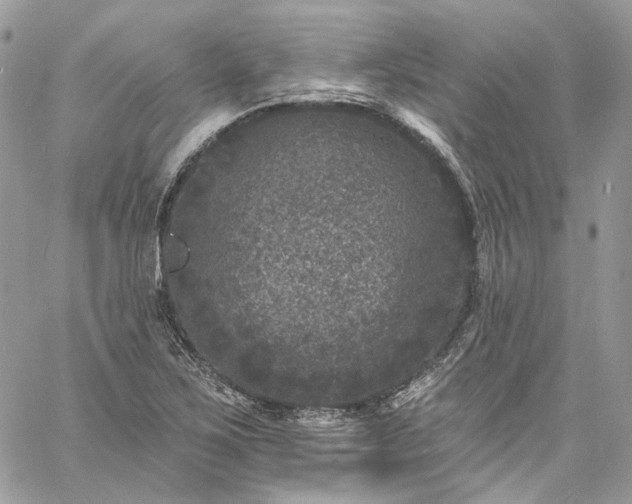 X0000060791267200511171259