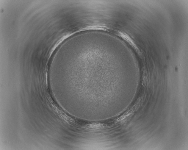 X0000060791268200511171259