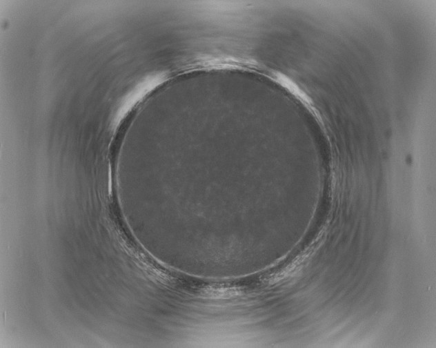 X0000060791269200511171259