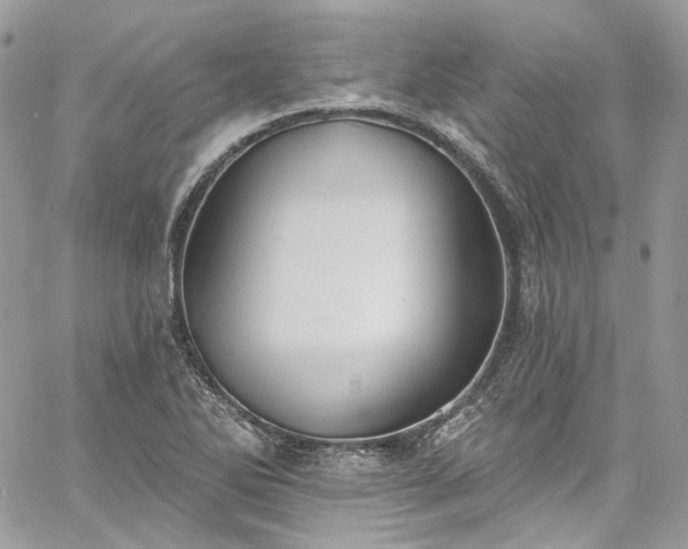 X0000060791270200511171259