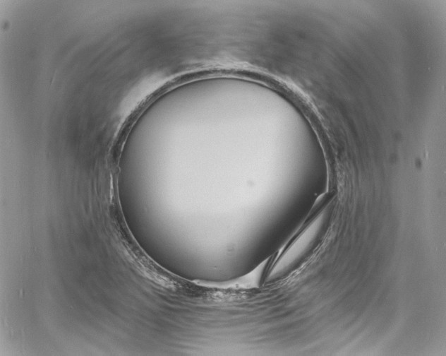 X0000060791271200511171259