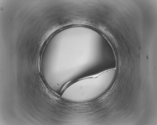 X0000060791272200511171259