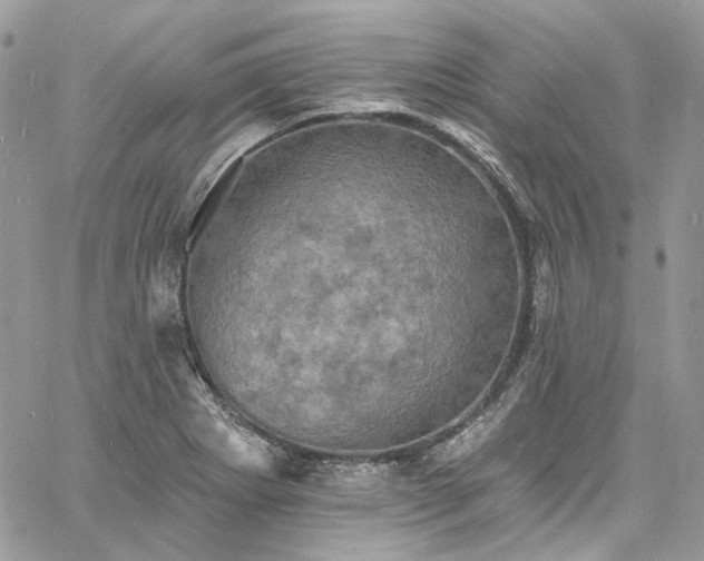 X0000060791273200511171259