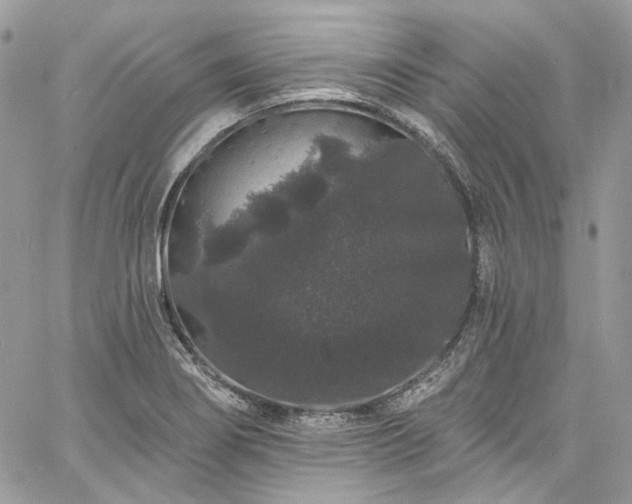 X0000060791274200511171259