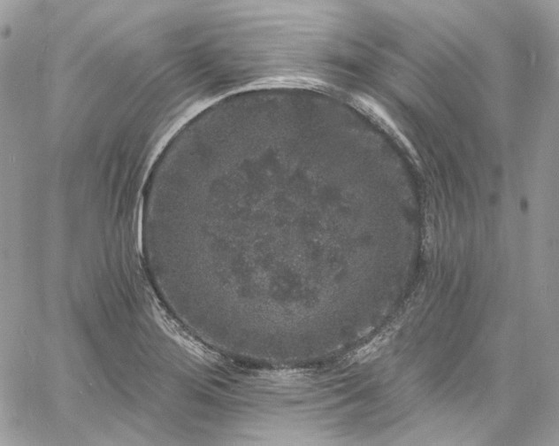 X0000060791276200511171259