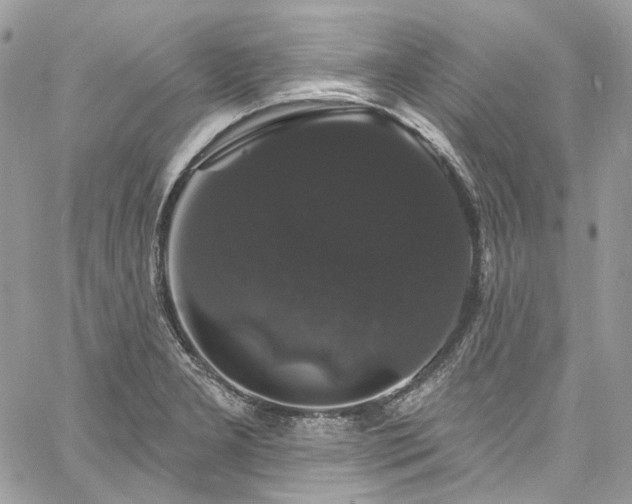 X0000060791277200511171259