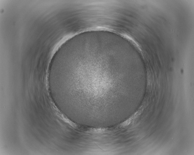 X0000060791278200511171259