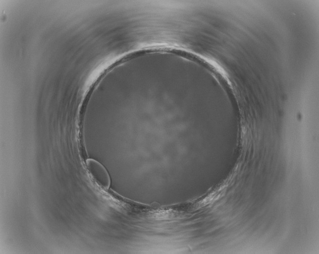 X0000060791279200511171259