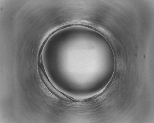 X0000060791280200511171259