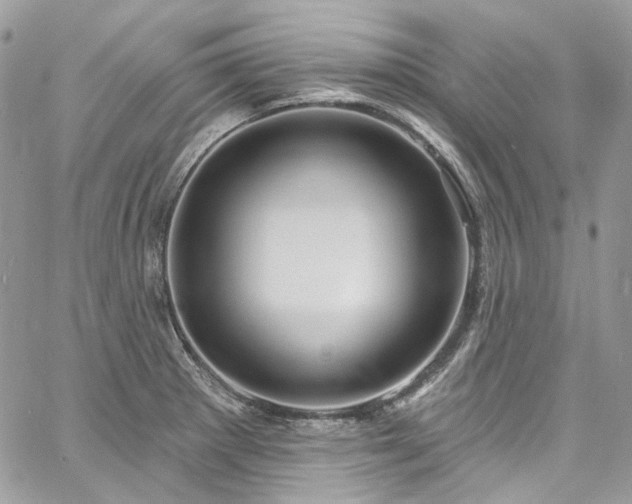 X0000060791281200511171259