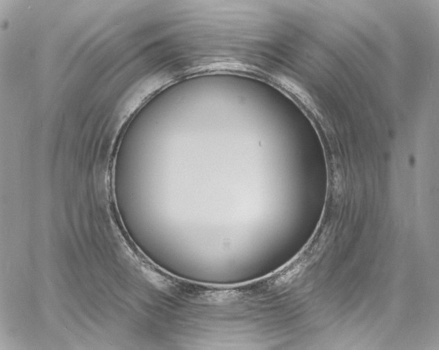 X0000060791282200511171259