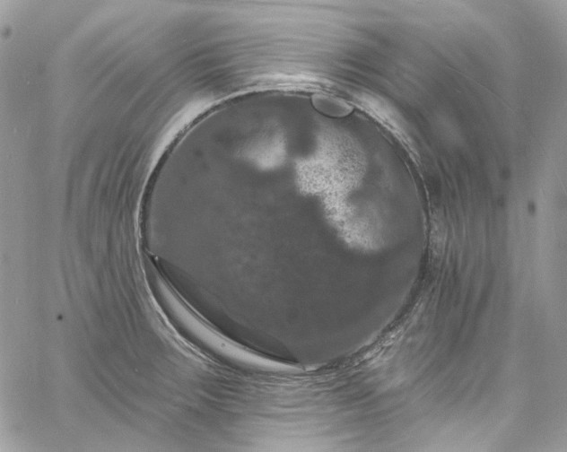 X0000060791283200511171259