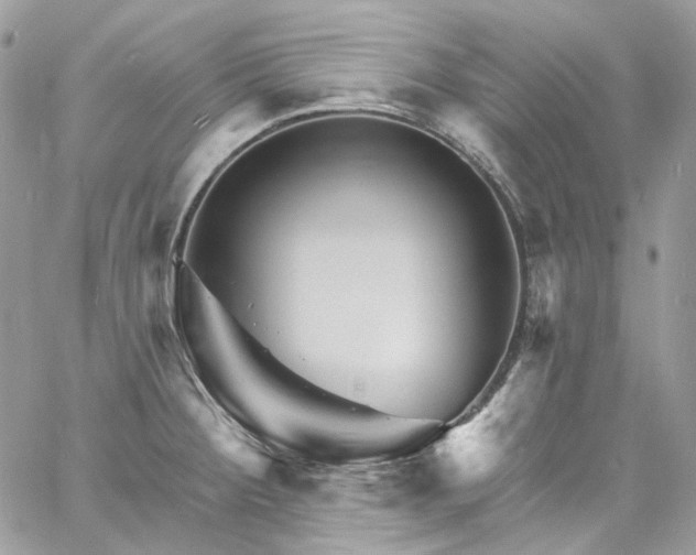 X0000060791284200511171259