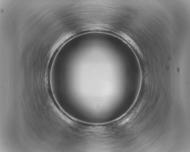 X0000060791285200511171259