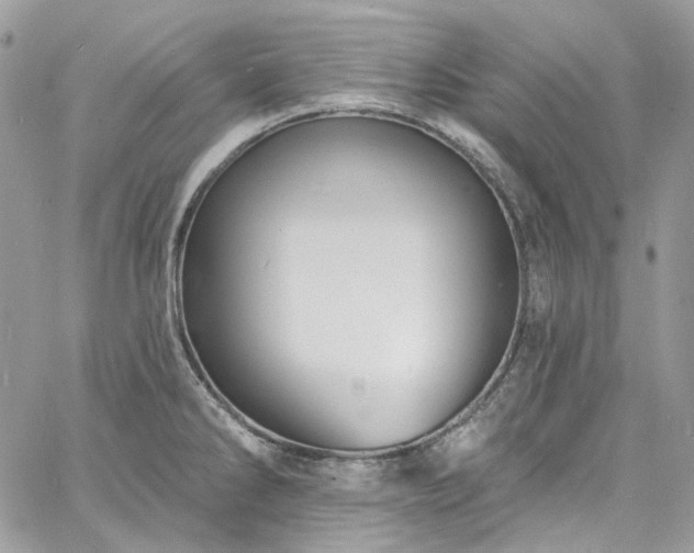 X0000060791286200511171259