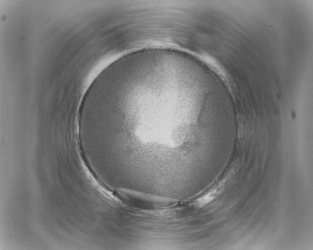 X0000060791287200511171259