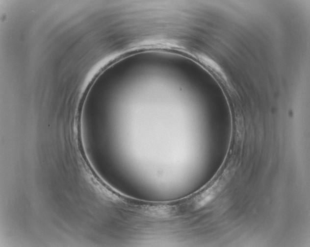 X0000060791288200511171259