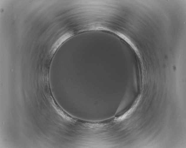 X0000060791289200511171259