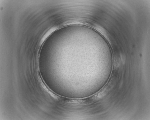 X0000060791290200511171259