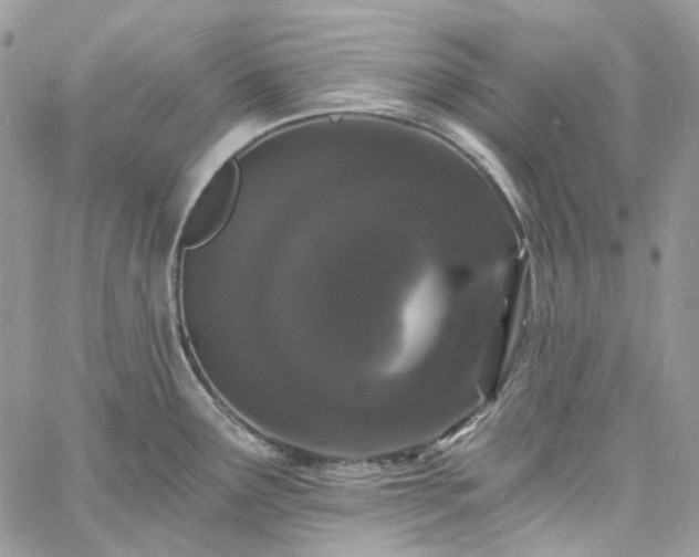 X0000060791291200511171259