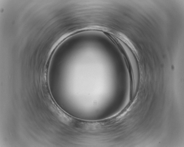 X0000060791292200511171258