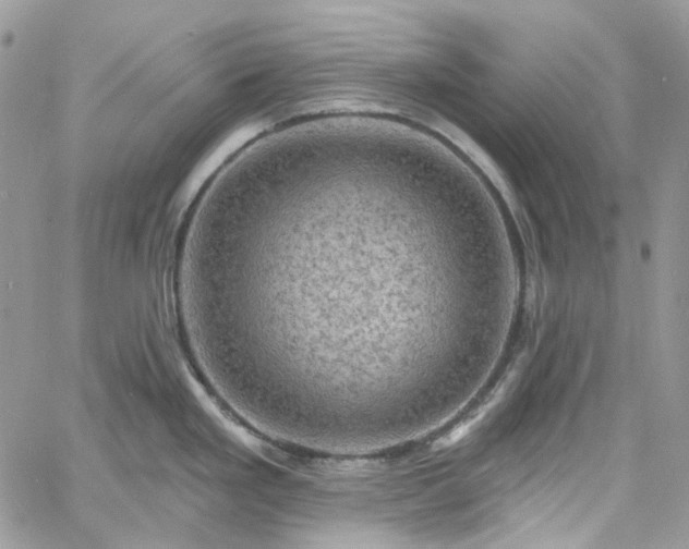 X0000060791293200511171258