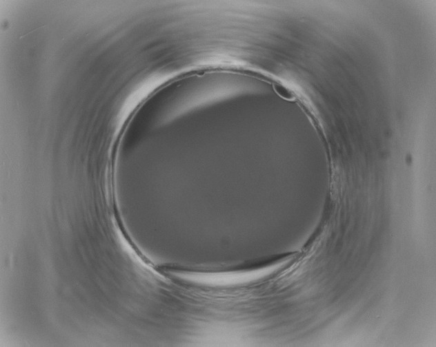 X0000060791295200511171258