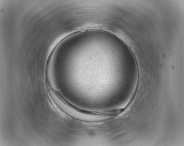 X0000060791296200511171258